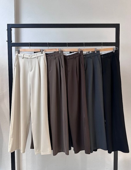 Pantalon Sastrero Una Pinza Wide Leg Eylin